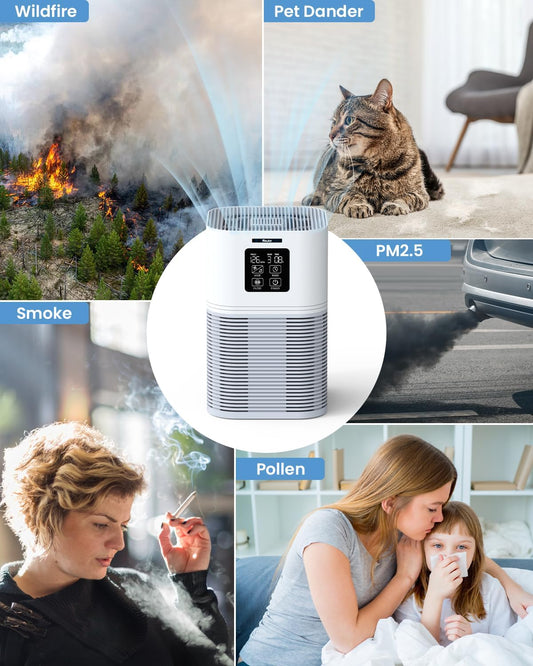Household Appliances VEWIOR 2 in 1 Air Purifier with H13 Filters for Home Allergies Pets Hair Odor Eliminators,  Aromatherapy diffuser and Auto Mode, Quiet Air Cleaner for Office, Home, Bedroom(Shipment from FBA)